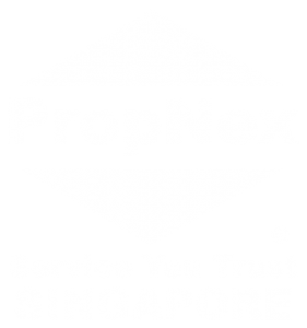 New Futura Marketing Agent - PropNex Ding Nai Wei